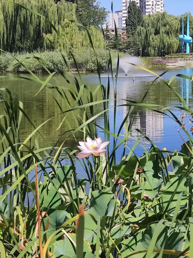 人定湖公园旅行图片 11