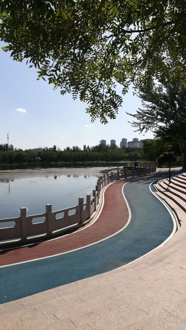 丽景湖公园旅行图片 6