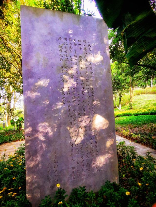 贵阳市森林公园旅行图片 3