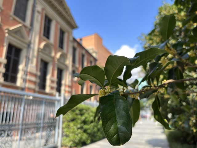 上海总商会旧址旅行图片 1