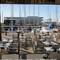 Brasserie O 36