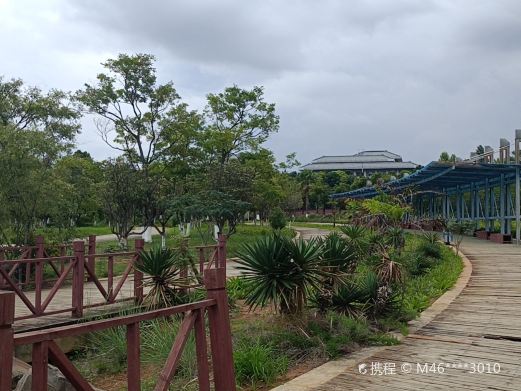 春城公园