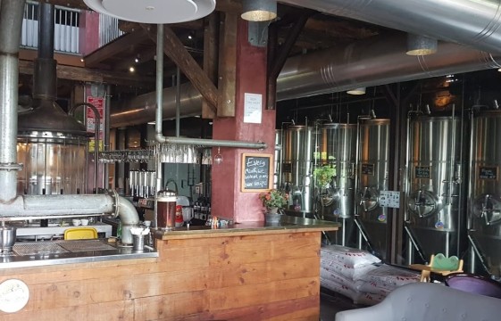 Flying Dodo Brewing Company