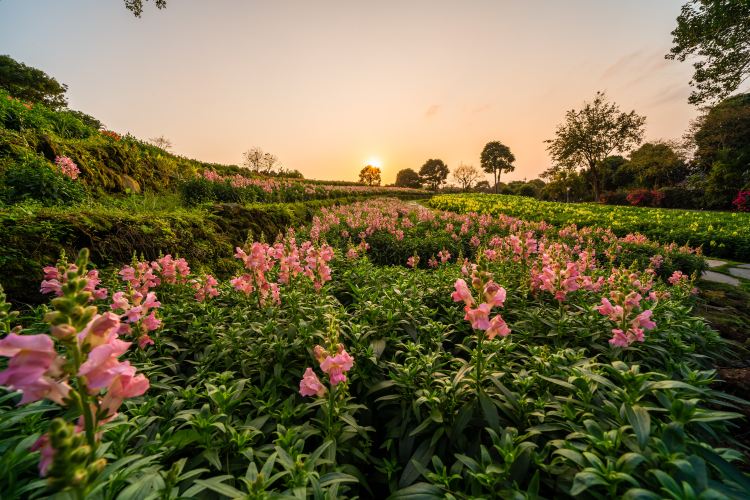 Qingxiu Mountain (Scenic natural landscapes, tranquil environment)