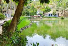 Centro Ecologico Projeto Caiman景点图片