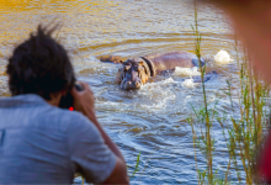 伊西曼格利索湿地公园景点图片