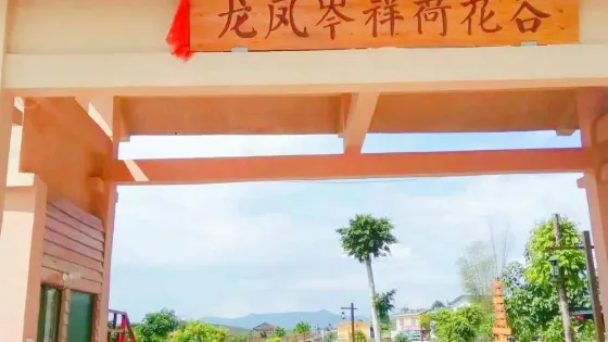 楊嶺村荷花谷