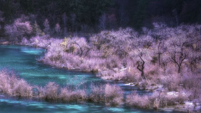 3-Day Sichuan Private Tour from Chengdu· Chengdu Research Base of Giant Panda, Jiuzhaigou, Huanglong Scenic Area