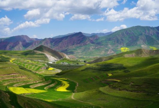 青海湖景区+日月山+拉脊山一日游【纯玩无购物·西宁市区接送】【西宁市内免费接送，拒绝早起，舒适出游】
