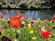 梦娜维尔花园-基督城