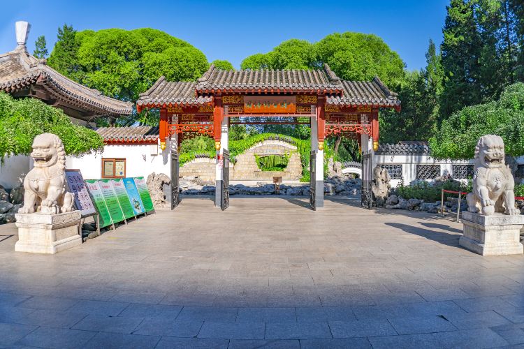 团结湖公园