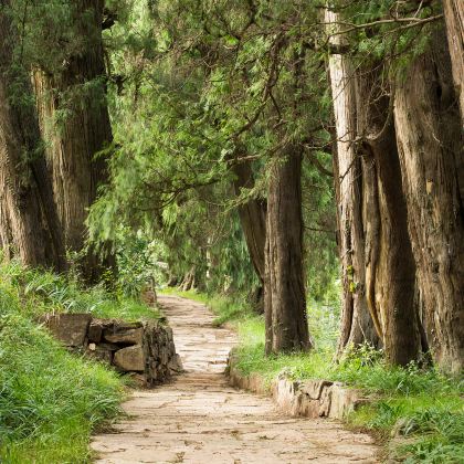 广元剑门关+汉中石门栈道风景区6日5晚私家团