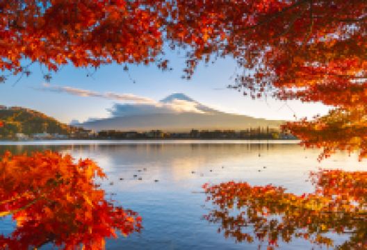 河口湖景点图片