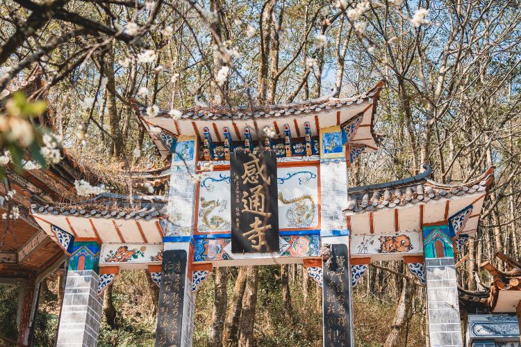感通寺