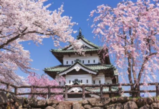 弘前城景点图片