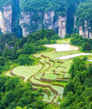 5天4晚 • 張家界＋鳳凰古城＋天門山國家森林公園＋空中田園＋張家界國家森林公園＋寶峰湖景區
