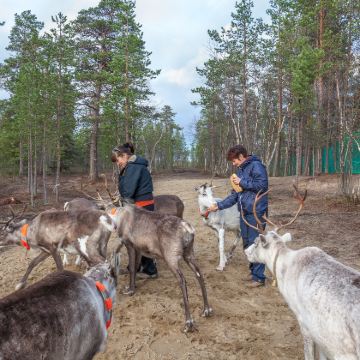 俄罗斯摩尔曼斯克5日4晚拼小团