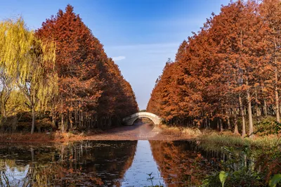 虎丘湿地公园