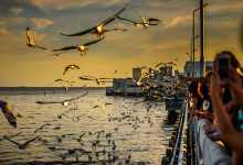 Bang Pu Recreation Center景点图片