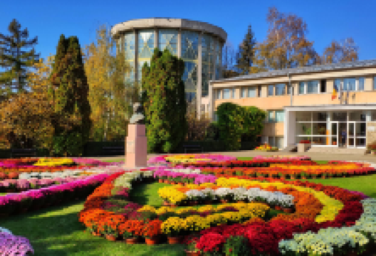 Botanic Garden景点图片