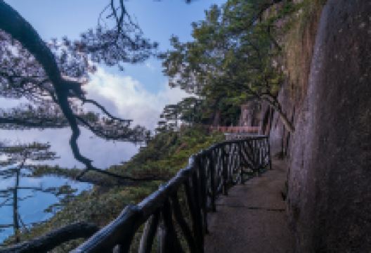 西海岸景区景点图片