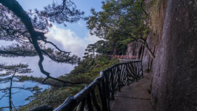 西海岸景区