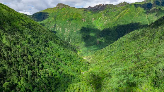 高黎貢山自然保護區