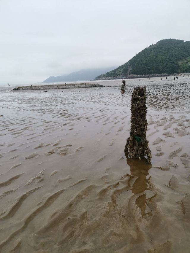 小皓海滩旅行图片 5