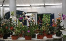 里约植物园-里约热内卢-zhulei831230
