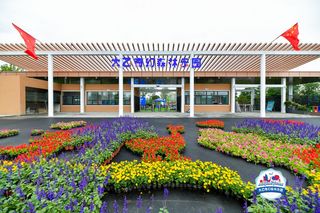 国庆假期去哪玩?西安周边太乙奇幻森林乐园亲子游玩乐趣多