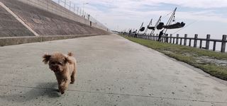 使君无一事 心共白云空 —— 游村观潮记