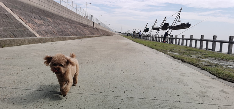 使君无一事 心共白云空 —— 游村观潮记