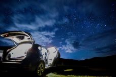 大海草山-会泽-小蘑菇wing仔