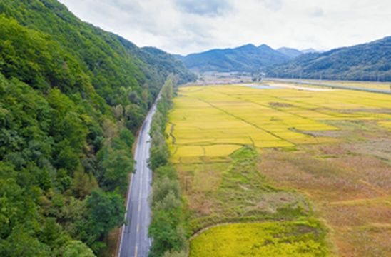 在希望的田野上，与上汽威然一起寻找秋天的童话：通化/集安/抚顺小环线
