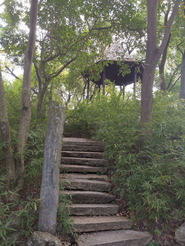 张堰公园旅行图片 3