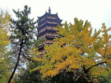 北塔报恩寺-苏州-YoYo_6C8R4N3H