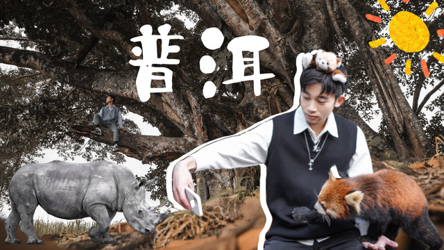 普洱 | 打卡《一点就到家》电影同款取景地 住进森林里和小动物们做邻居