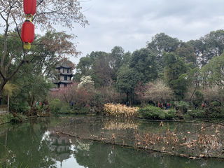 天府印象系列12：草堂春