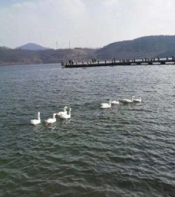 五莲游记图文-春暖花开，奔你而来-松月湖蓝海钧华