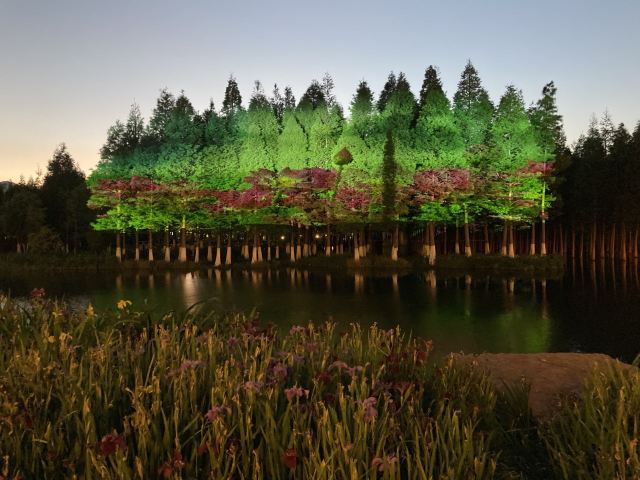 海洪湿地泼水广场旅行图片 3