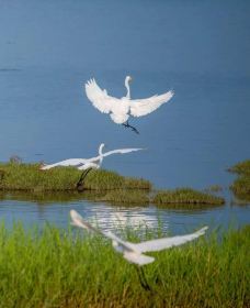 南戴河-秦皇岛-仰望星空旅行日志