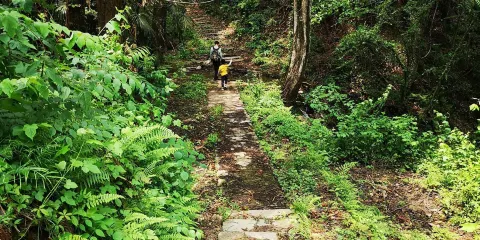 素山寺國家森林公園