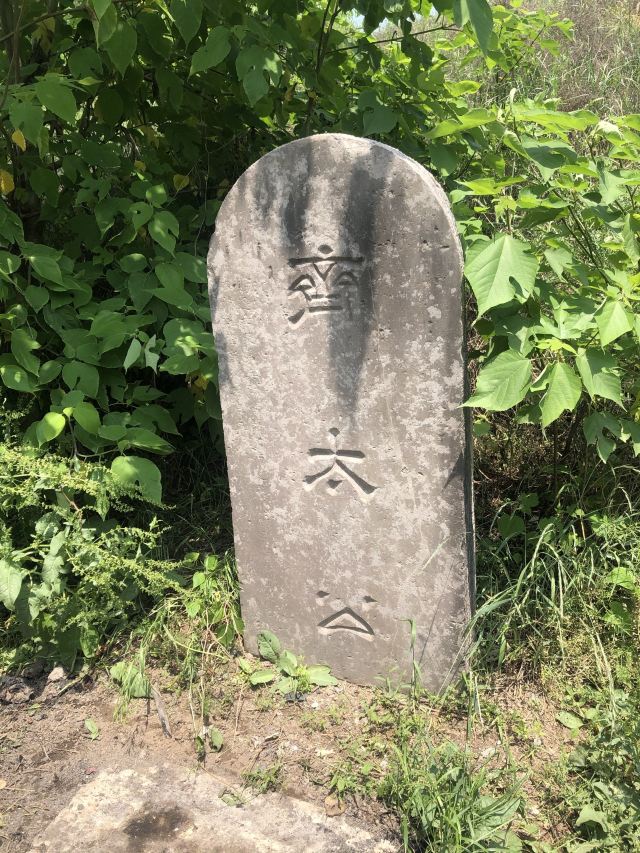 姜子牙墓旅行图片 3