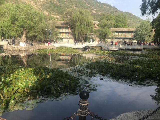 五泉山公园旅行图片 7