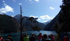 九寨沟游记图片] 九寨的色彩，梦中的天堂