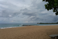 Cardiff Hall Beach景点图片