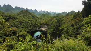 捡来的鹿寨+顺搭的长沙