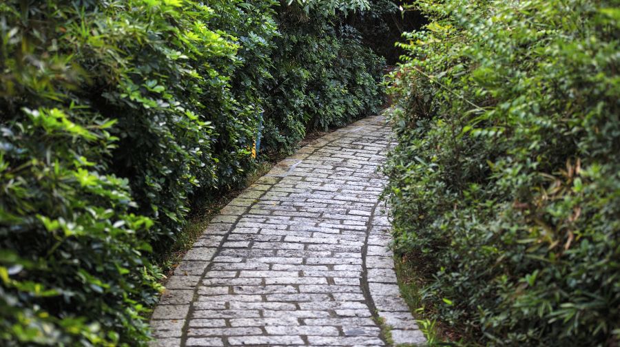 水濂山森林公园-蝴蝶谷