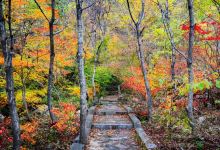 大连天门山国家森林公园景点图片