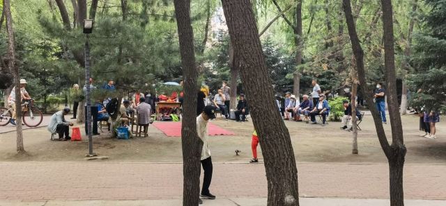 德惠公园旅行图片 5
